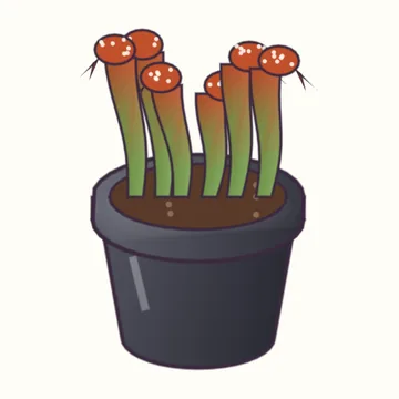 Cobra Lily