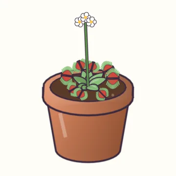 Venus Flytrap